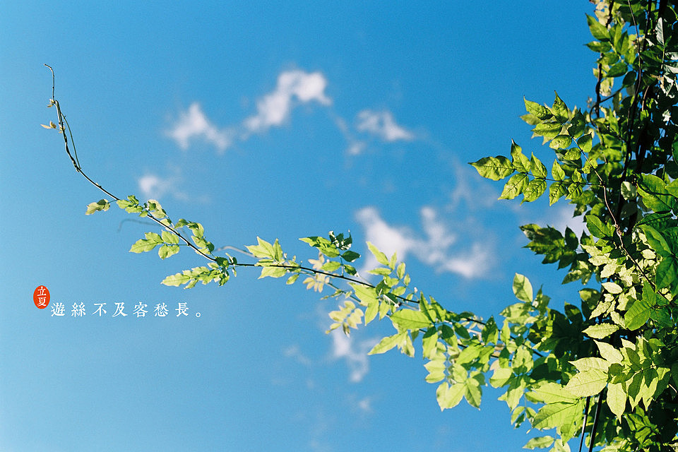夏天的味道（图ZOTY5MjIxMg==） - 风光摄影 - 站酷设计师hehemiss原创素材 - 站酷ZCOOL