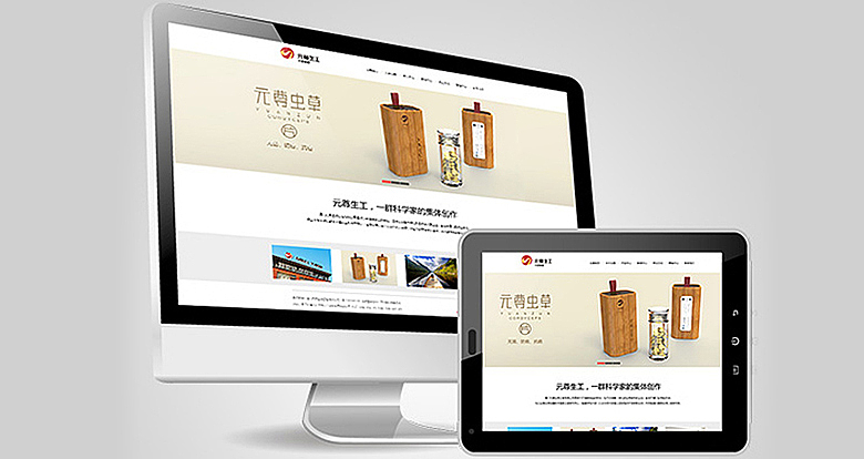 厦门元尊生工 VIS视觉系统设计 logo设计 展示设计