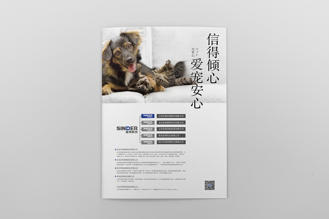 扁平化器官设计及包装应用（图ZMTYyMTE1NDY4） - 包装 - 站酷设计师王春旭原创素材 - 站酷ZCOOL