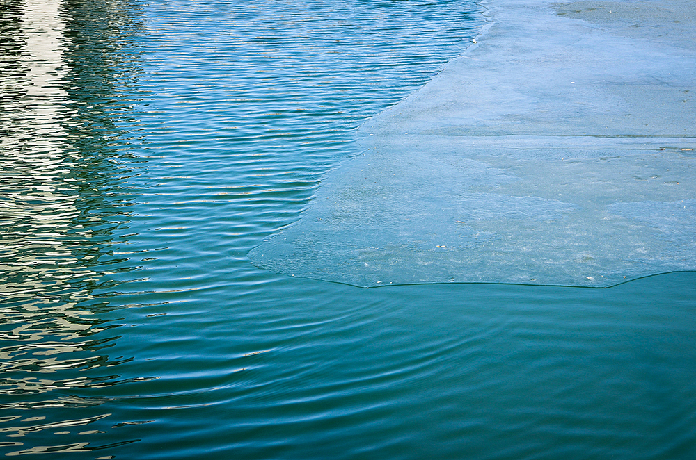 北大未名集团留影II