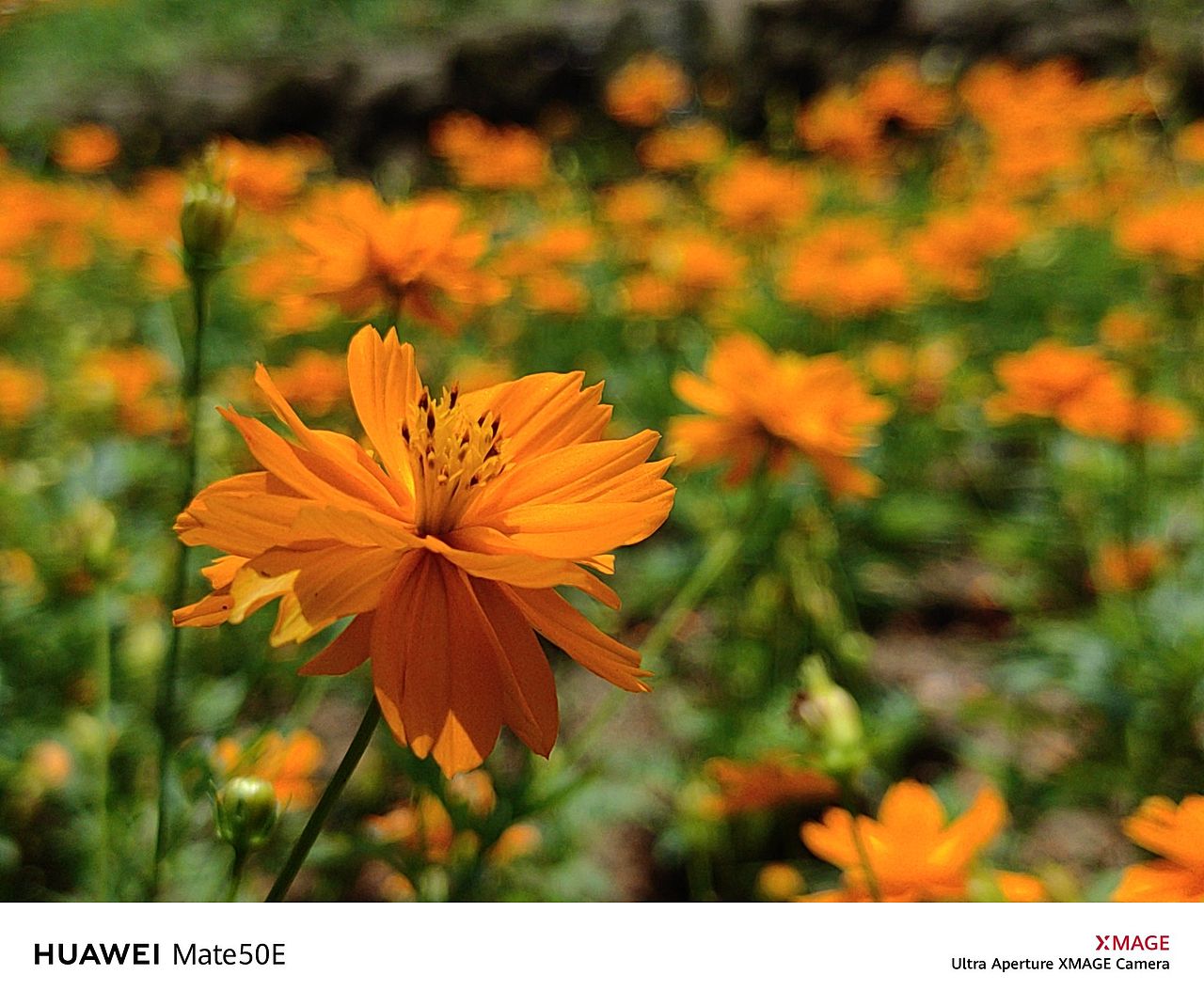 南宁青秀山随手拍