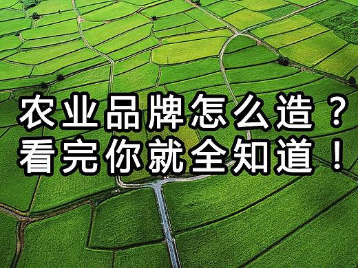 农业品牌怎么造？看完你就全知道！
