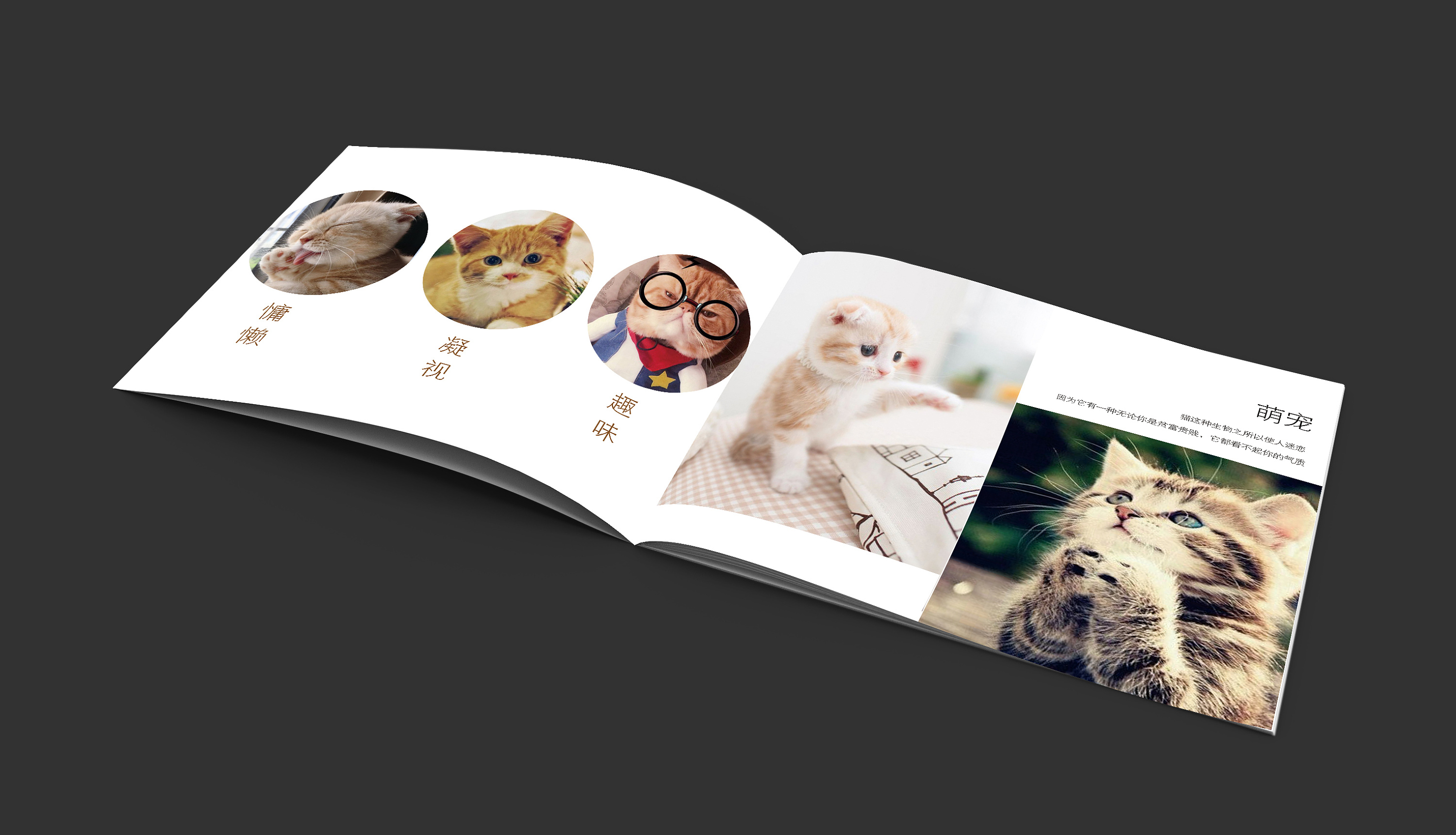 宠物画册