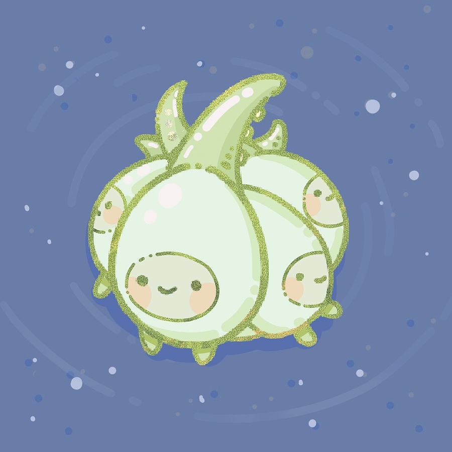 Cheya的赶海日记