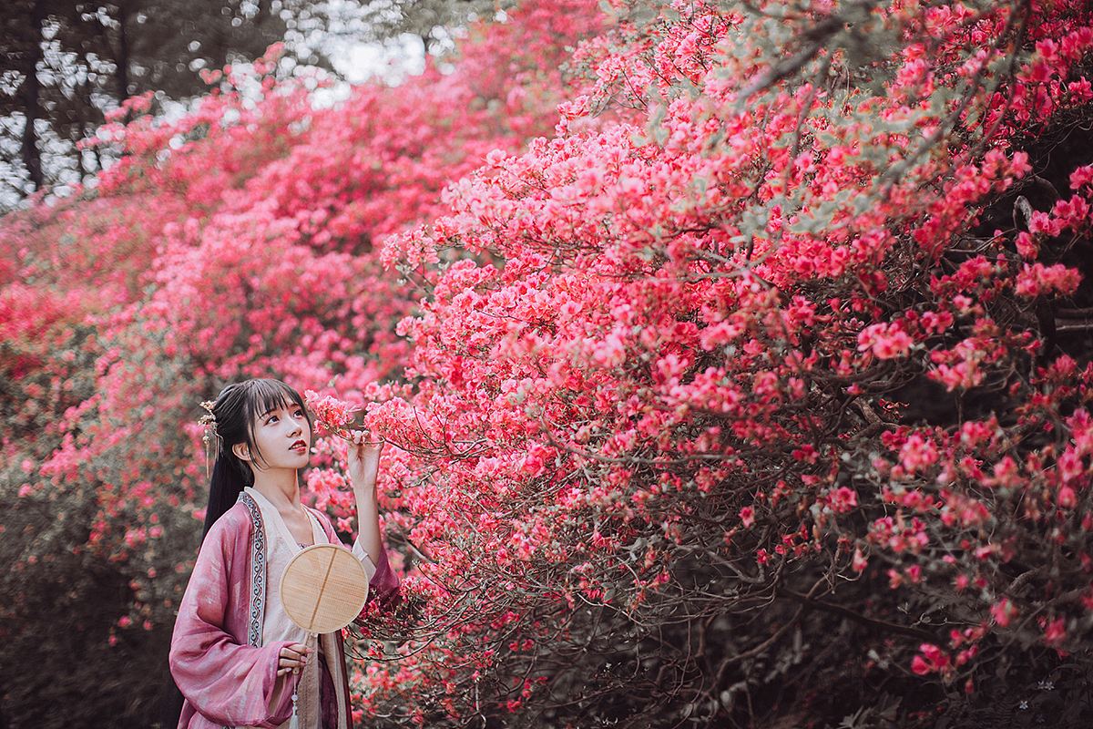 一路山花不负侬