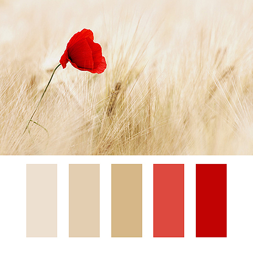 颜色搭配（图ZNjY4NzMyMDQ=） - 其他 - 站酷设计师汀苔HJNO111原创素材 - 站酷ZCOOL