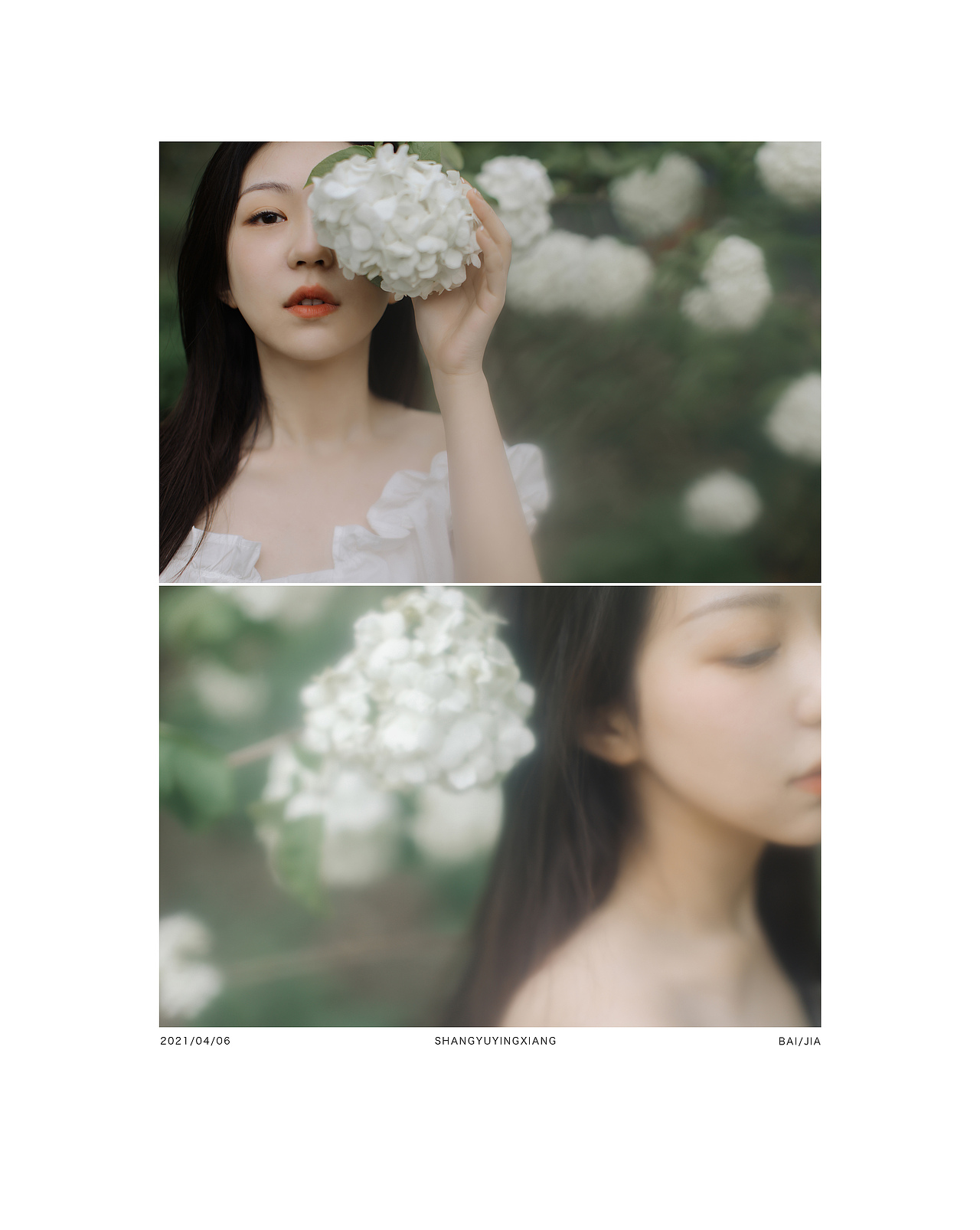 木绣球（图ZMjUxMDg1ODg0） - 人像摄影 - 站酷设计师baiyang421原创素材 - 站酷ZCOOL