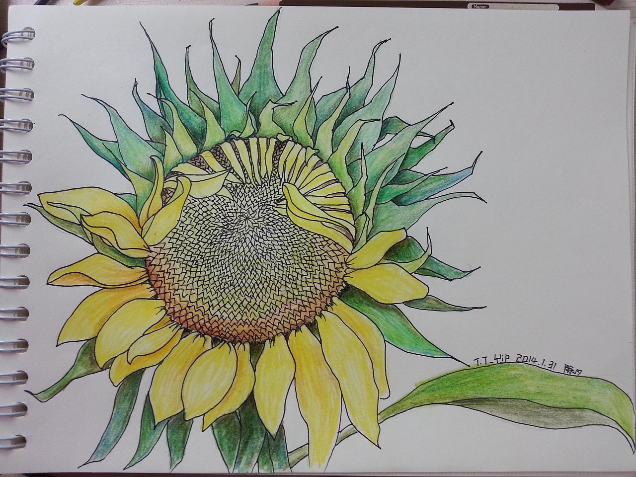 幼儿4～6岁美术大全 实用简笔画向日葵怎么画💛巧艺网