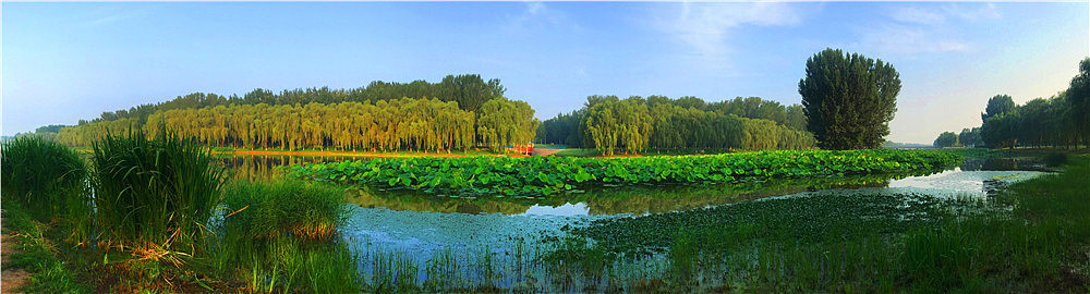 刘勇良摄影作品:河畔的风景