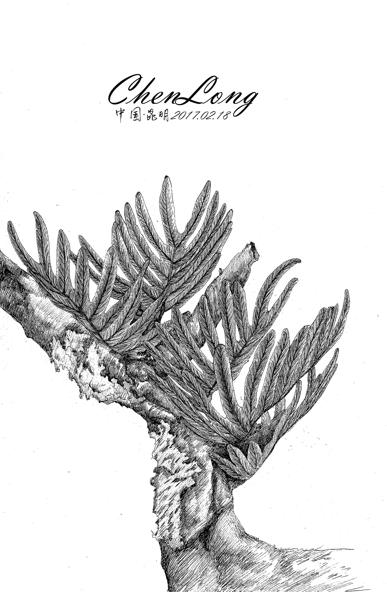 植物王国蹭吃蹭喝的植物依附与古茶树，同呼吸共命运。（图ZMjI4MTE2NDA4） - 绘本 - 站酷设计师coollogo88123原创素材 - 站酷ZCOOL