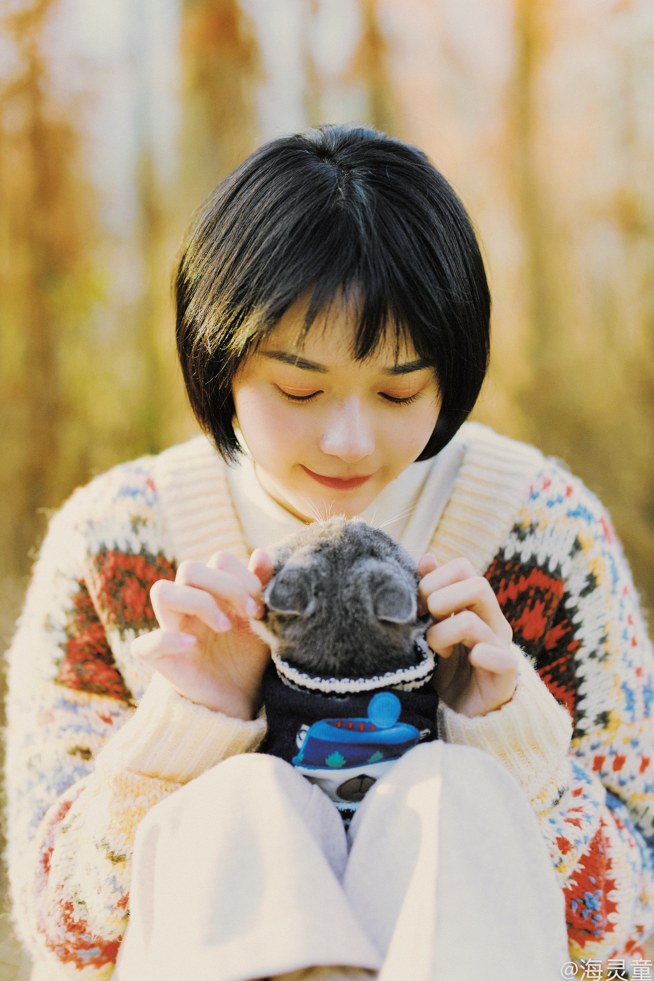 《暖秋遛猫记》