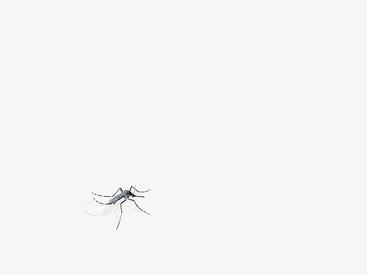 21期：（广告摄影日记）：“盲点”