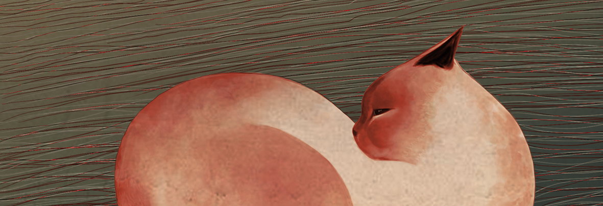 矛盾君的个人主页（背景预览） - 主页背景设置 - 站酷设计师矛盾君原创素材 - 站酷ZCOOL