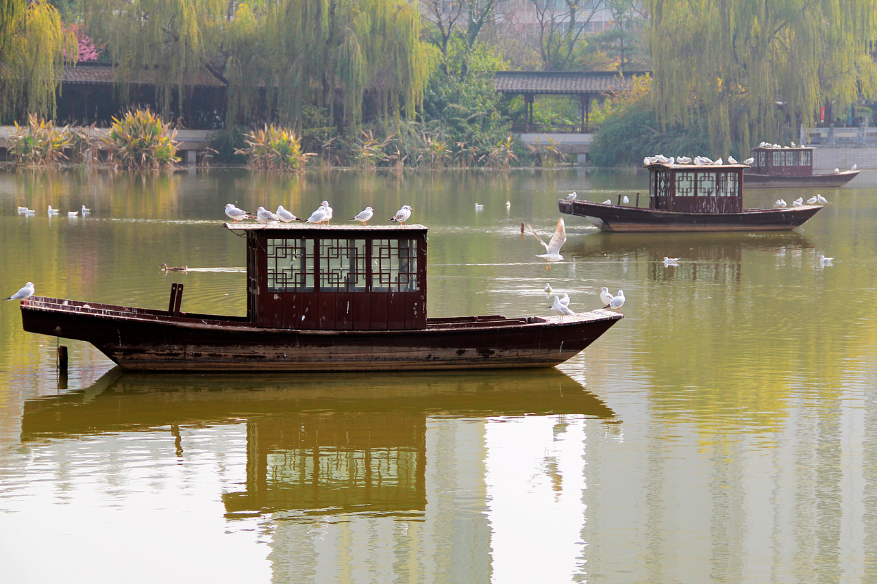 《别岸扁舟三两只》莲花池公园
