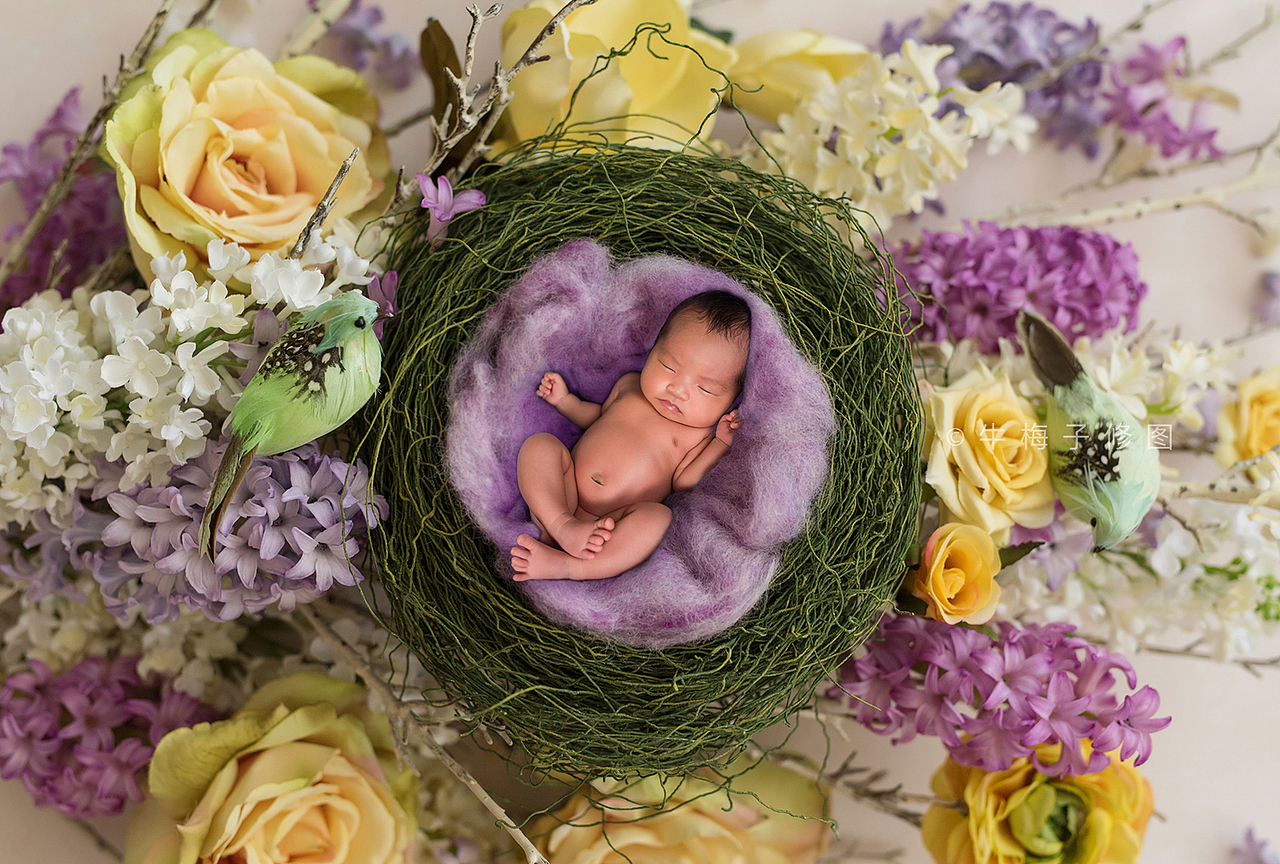 可爱的新生儿（图ZMTAyNzk0NTc2） - 修图/后期 - 站酷设计师牛梅子原创素材 - 站酷ZCOOL