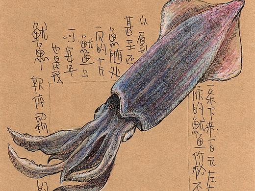 这个关于海鲜的插画手稿(一)