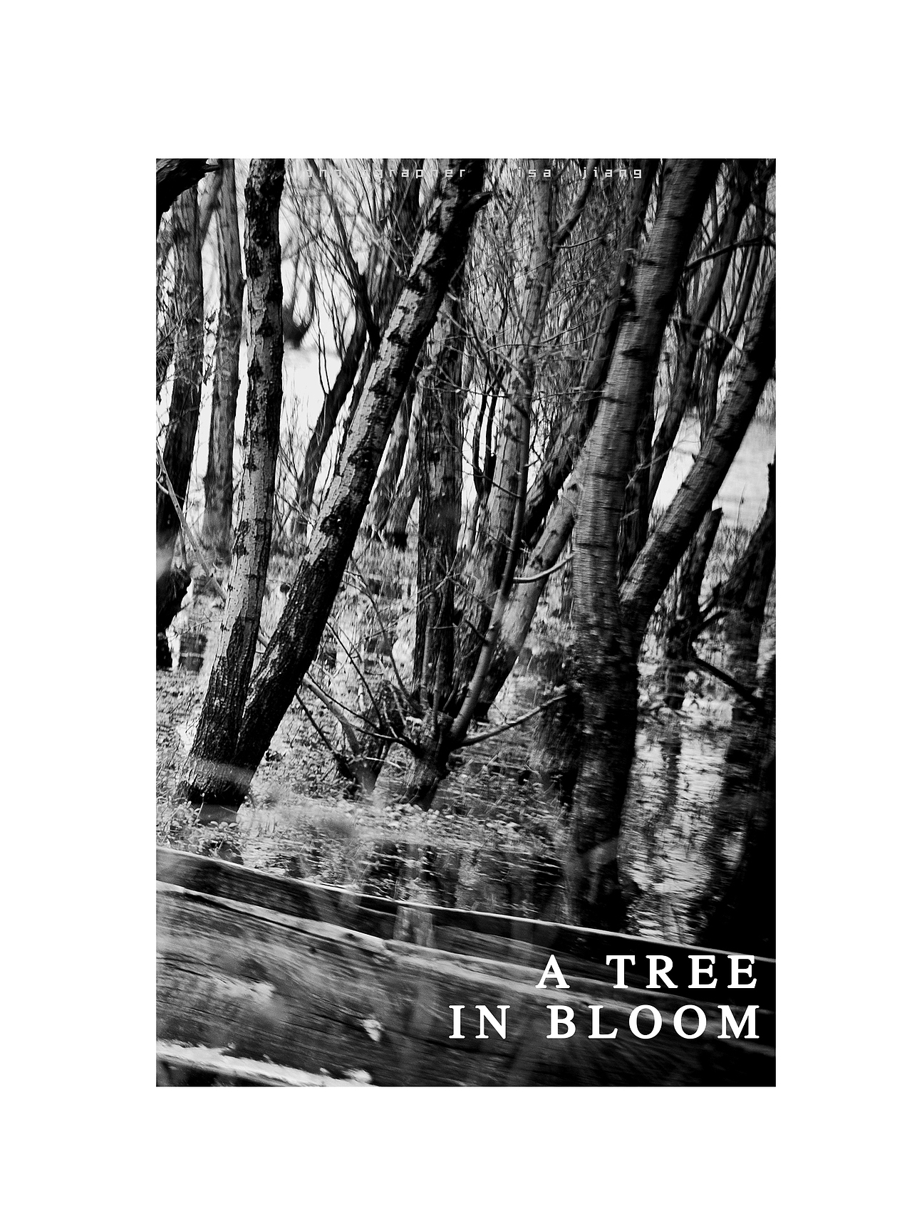 A tree in bloom