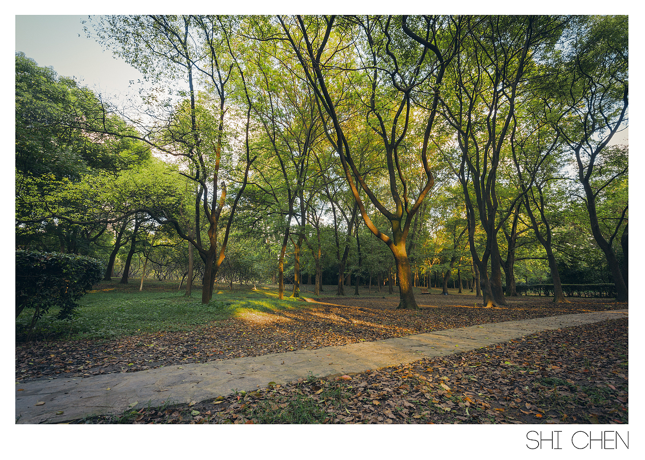 森林公园（图ZMTk4MzA4NDA=） - 风光摄影 - 站酷设计师zhzxsc原创素材 - 站酷ZCOOL