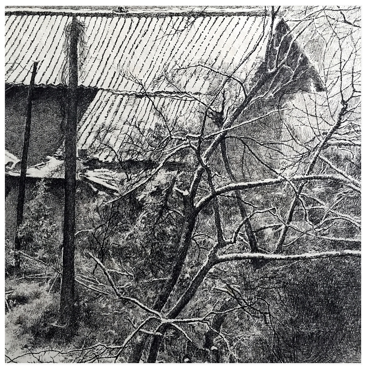 新钢笔画《时光易老、岁月静好》