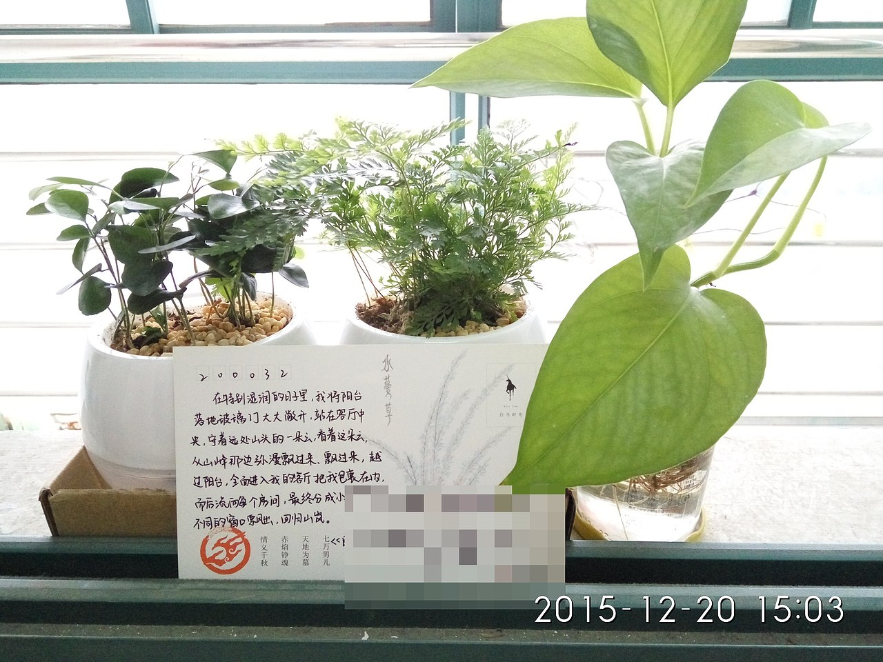 在特别湿润的日子里,我将阳台落地玻璃门大大敞开,站在客厅中央,守着远处山头的一朵云,看着这朵云,从山峰那边弥漫飘过来、飘过来,越过阳台,全面进入我的客厅把我包裹在内,而后流向每个房间,最终分成小朵,从不同的窗口飘出,回归山岚。
——水蔓草