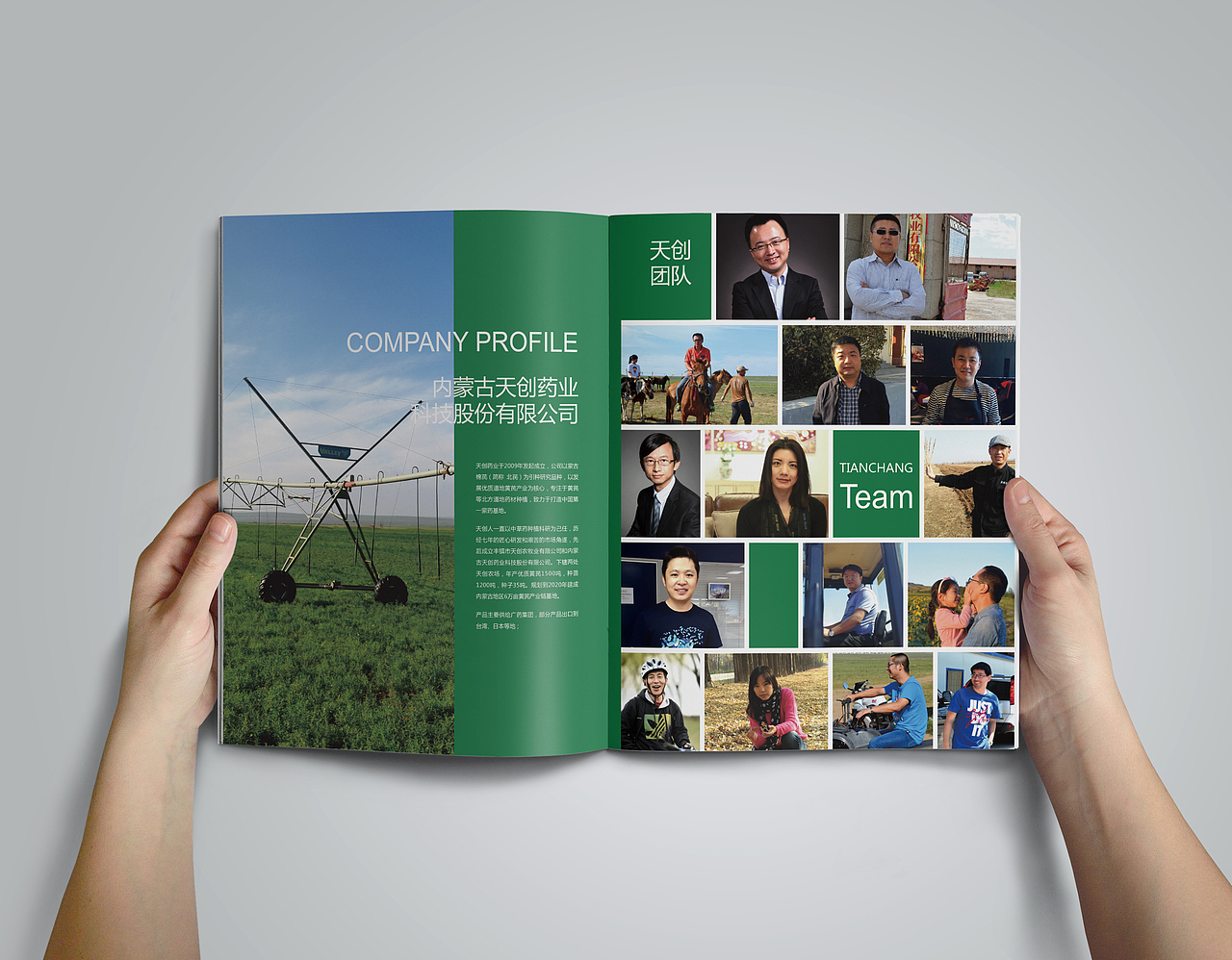 天创药业品牌手册