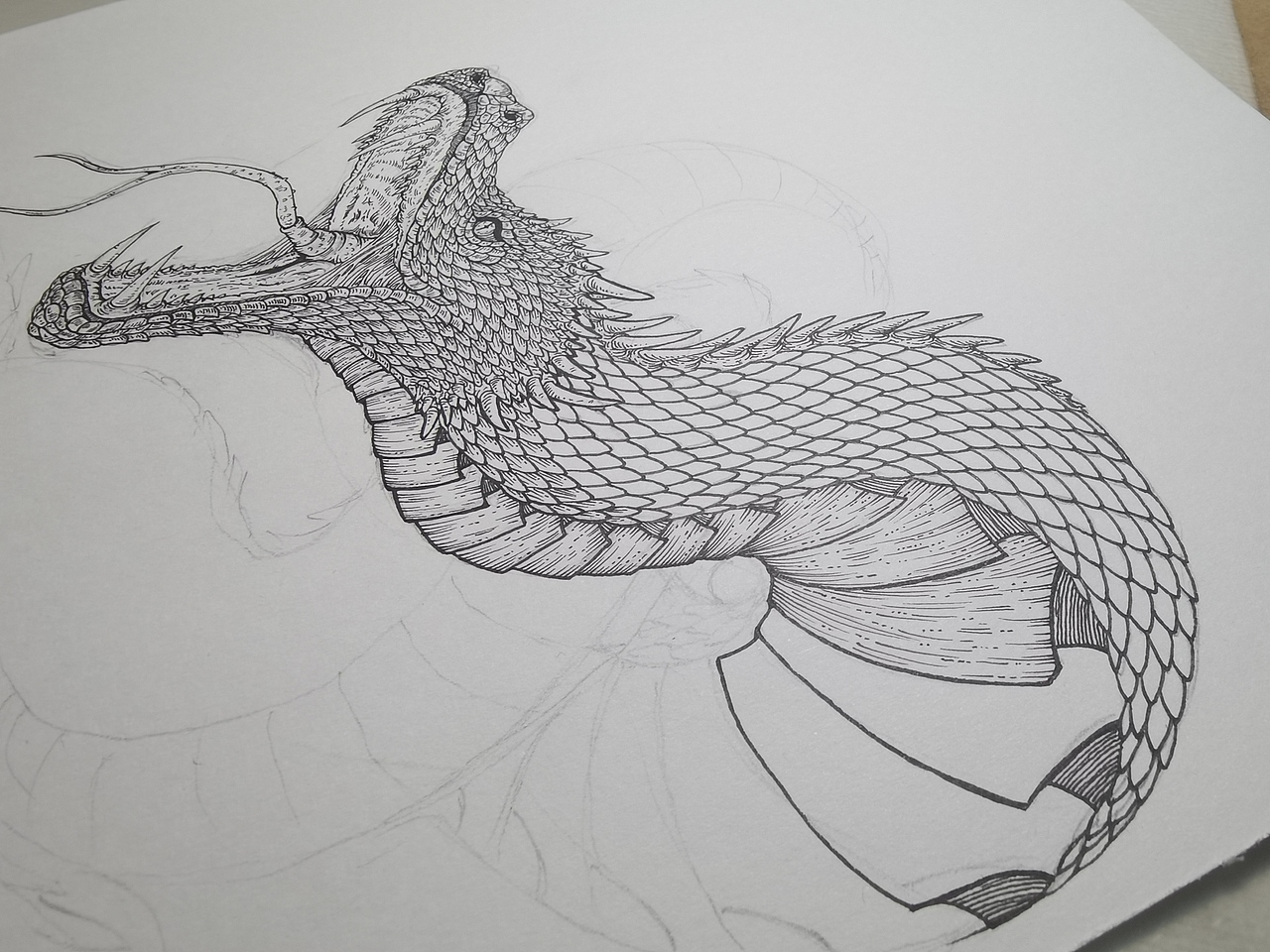 毣柞山海之羽山蝮蛇