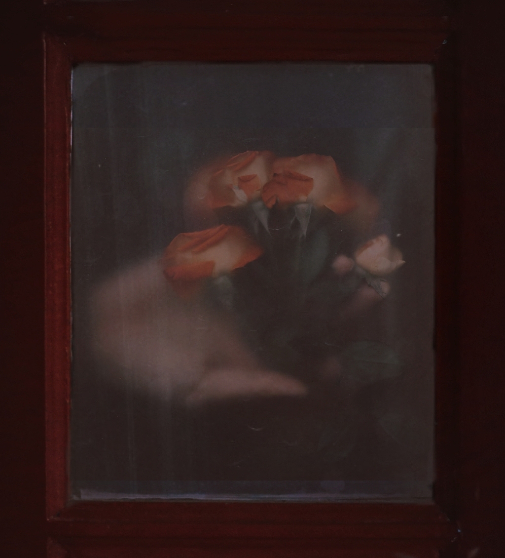 窗与花（图ZMjcxMjU2MTgw） - 人像摄影 - 站酷设计师小狗阿茶仔原创素材 - 站酷ZCOOL