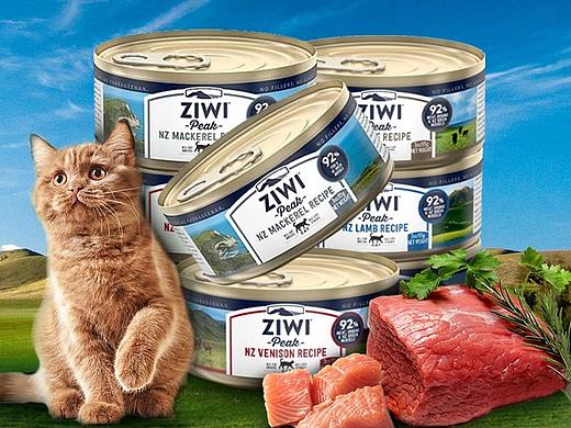 猫罐头详情页