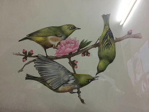 繡眼（個(gè)人主頁(yè)-ZMjg1NDA5MDA=） - 繪畫(huà) - 站酷設(shè)計(jì)師灶臺(tái)上的小玄子原創(chuàng)素材 - 站酷ZCOOL