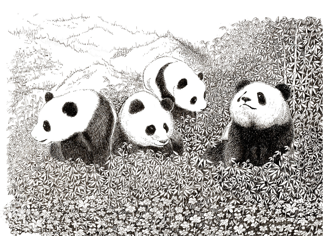 手绘大熊猫