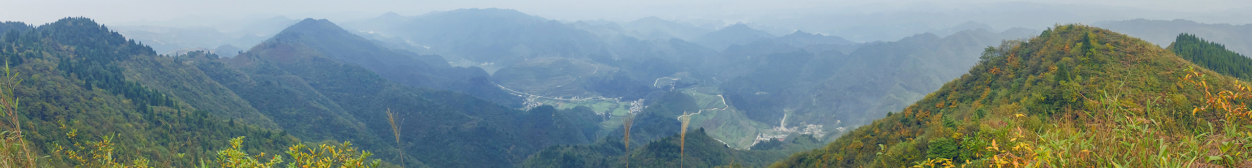华师傅Kamiu的个人主页（封面预览） - 主页封面设置 - 站酷设计师华师傅Kamiu原创素材 - 站酷ZCOOL