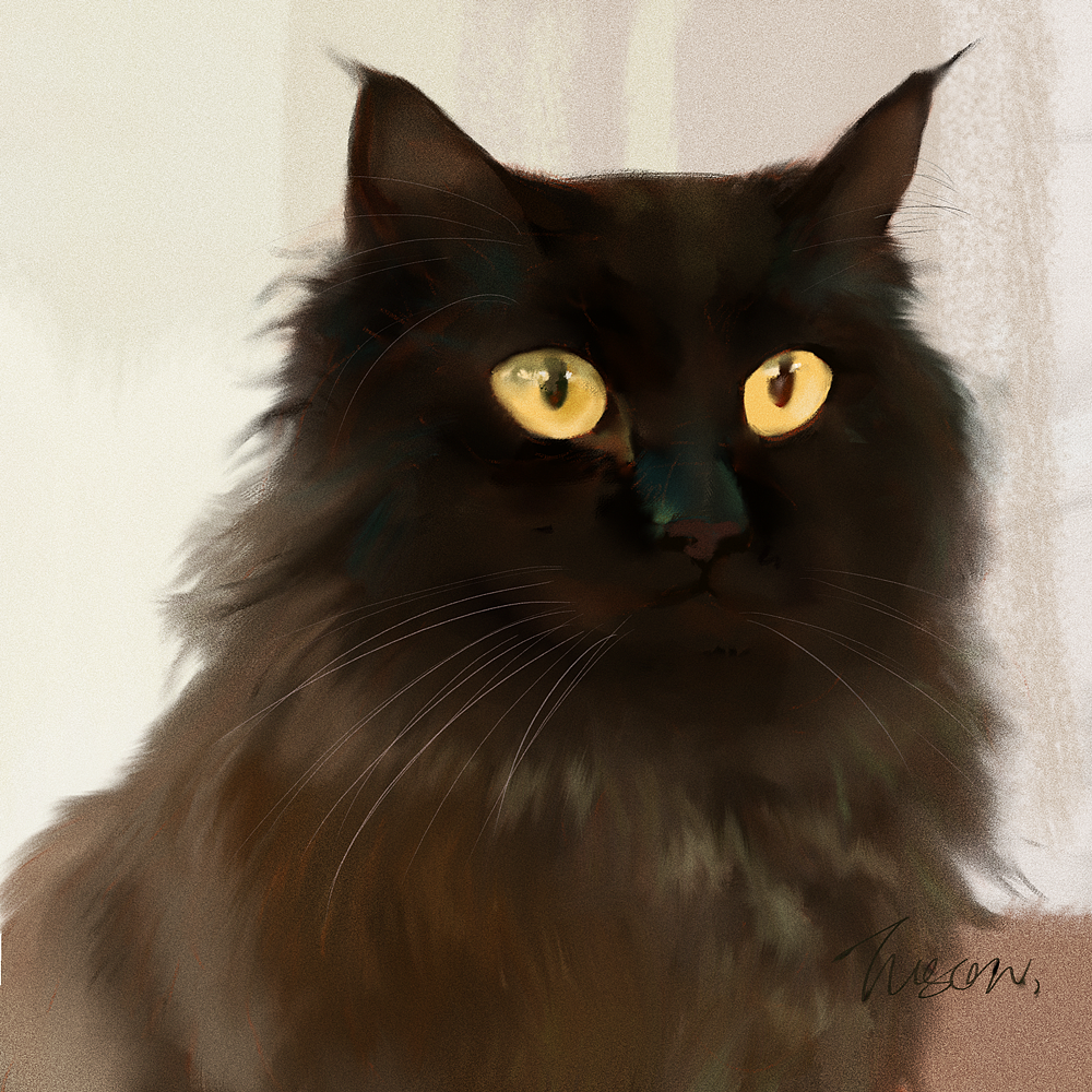 几幅写实风尝试|肝脑涂喵……还有狗叽（图ZMjAyNDYyMjcy） - 艺术插画 - 站酷设计师Tusan了了原创素材 - 站酷ZCOOL