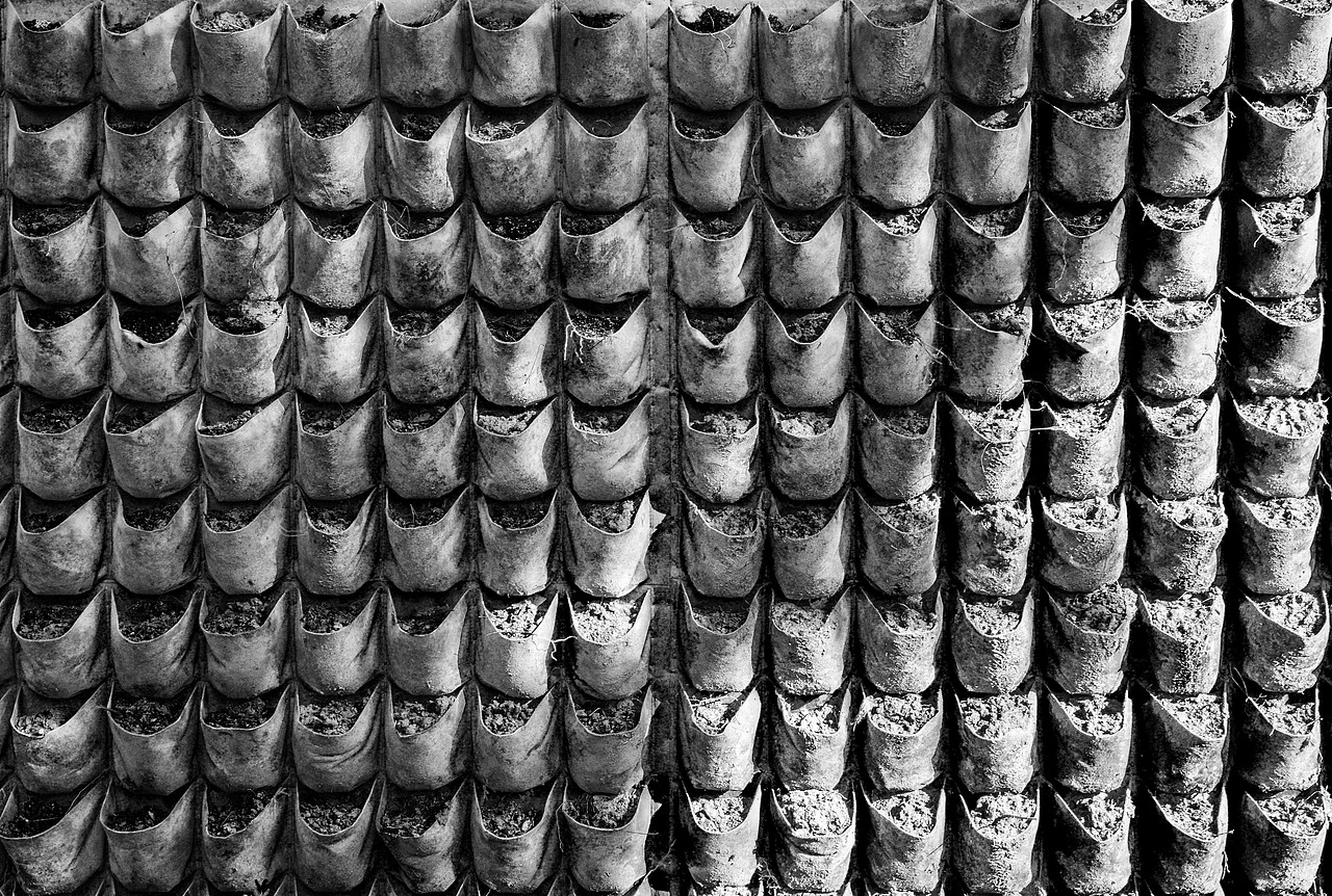 光与影（图ZMTkxNzUyOTE2） - 环境/建筑摄影 - 站酷设计师猪朱朱朱原创素材 - 站酷ZCOOL