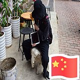 用户头像