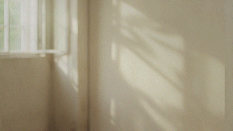 电商视频 丨INTERPRETER×NATUREL CADEAU蔚然云木