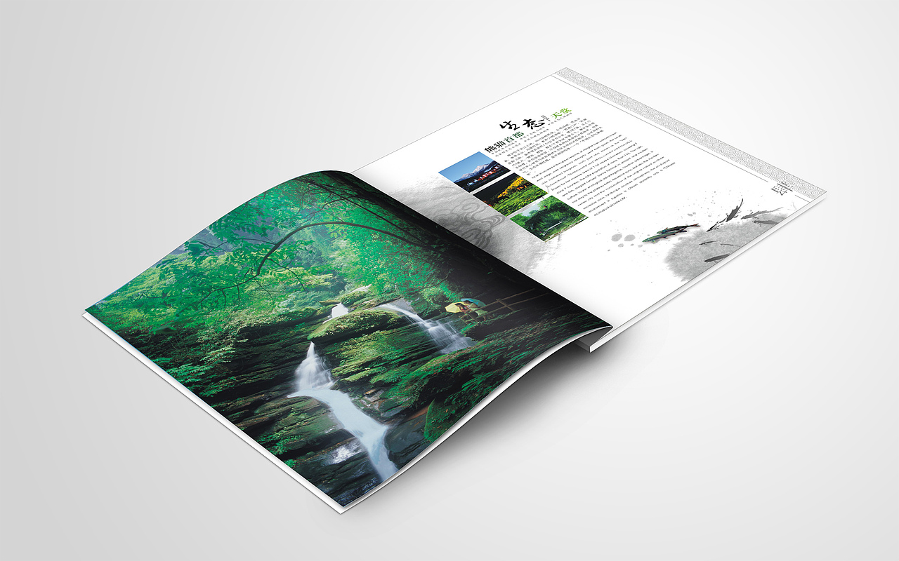 雅安招商手册（飞机稿）（图ZNDI1NDA2OTI=） - 书籍/画册 - 站酷设计师归归归归零原创素材 - 站酷ZCOOL