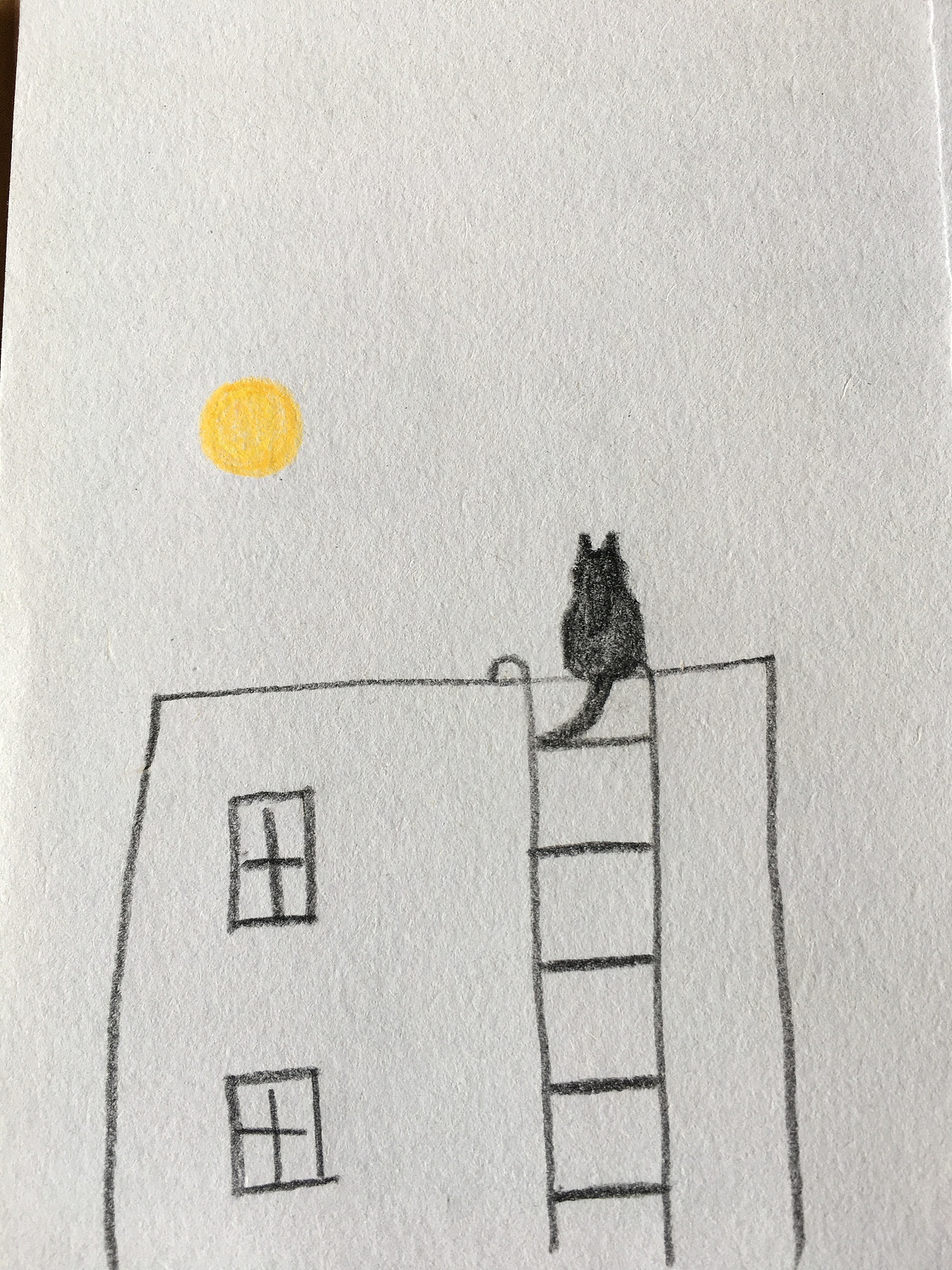 零基础瞎画画｜6月临摹记录