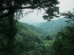 摄影-美食-建筑-风景-人物