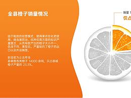 一页橙子销售占比PPT