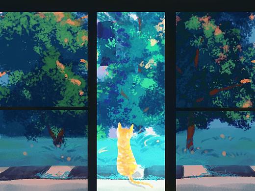 意外闯入的猫咪