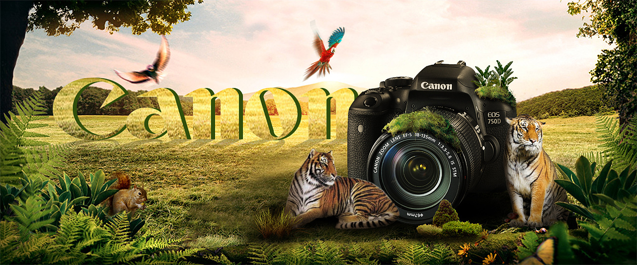 佳能相机 合成banner|平面|海报|monicawang07 - 原创作品 - 站酷