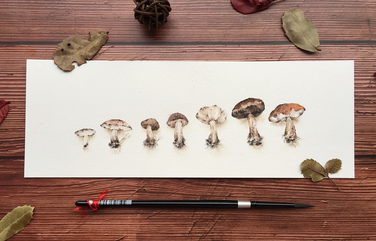水彩花卉水彩蘑菇（图ZMTUzMzY1MjI0） - 绘画 - 站酷设计师鹿芩水彩原创素材 - 站酷ZCOOL