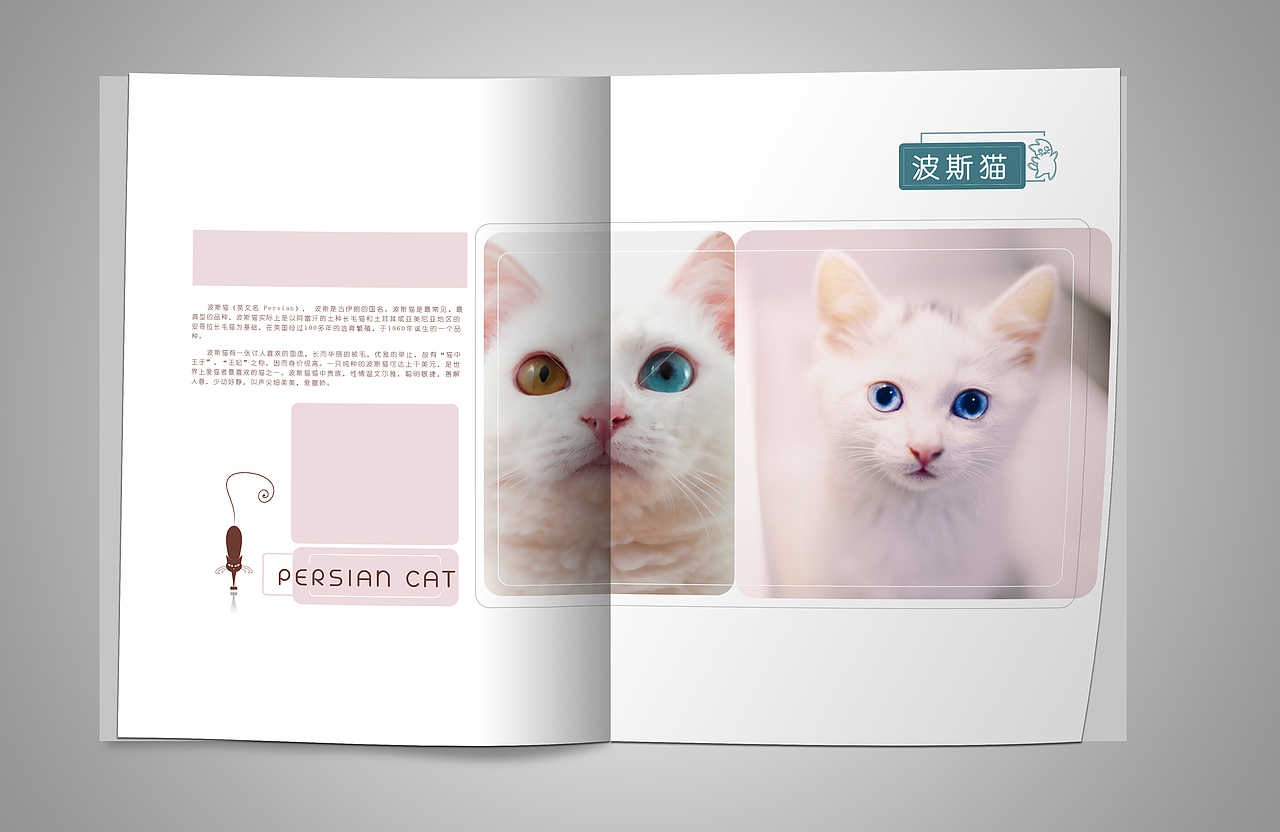 平面：宠物画册（图ZMTQzMzc0MjQ0） - 书籍/画册 - 站酷设计师曾小香原创素材 - 站酷ZCOOL