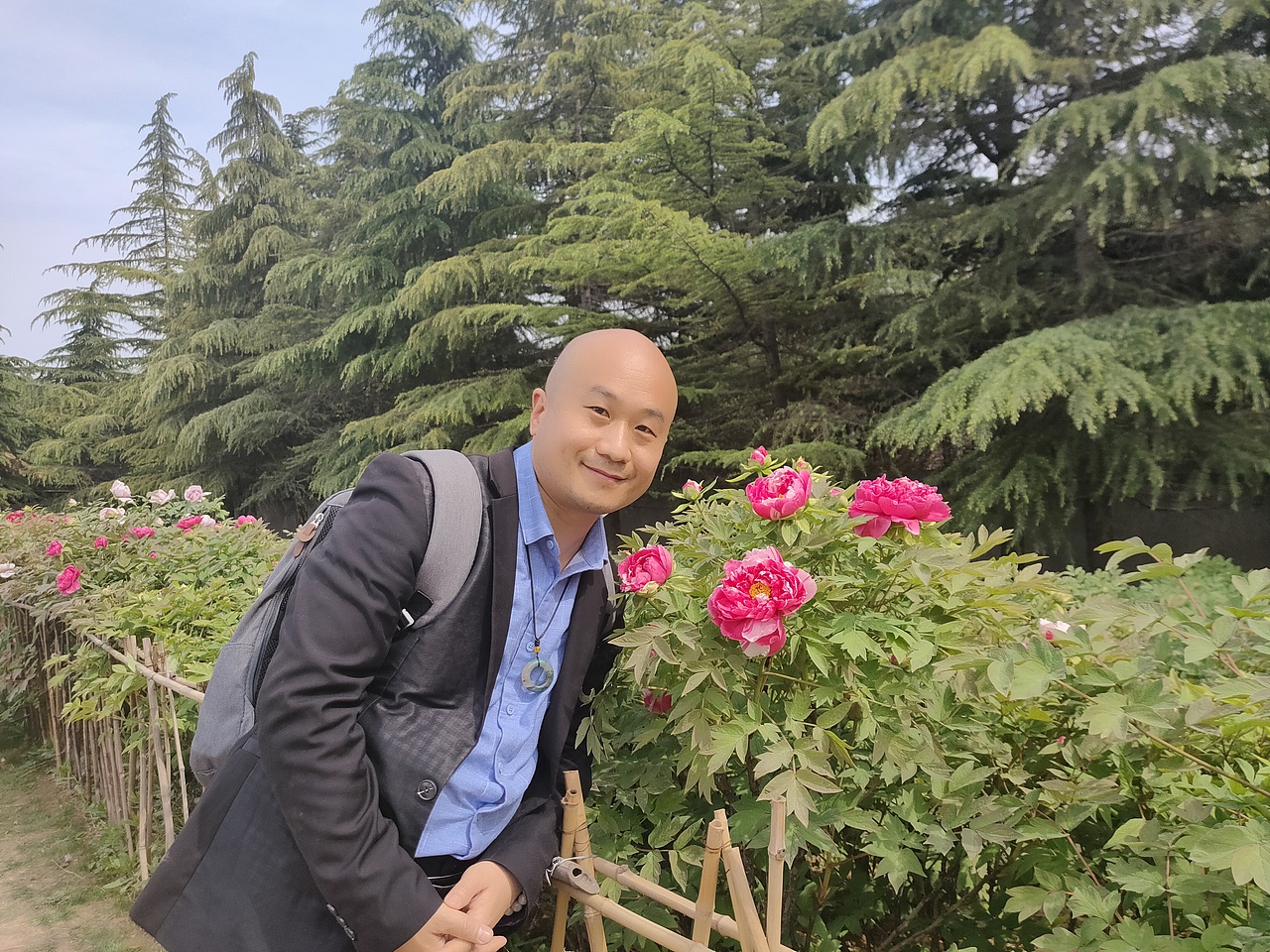 花开富贵 国色天香