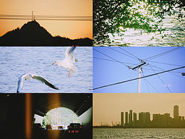 浪费的是，今天的风和我都漫无目的。