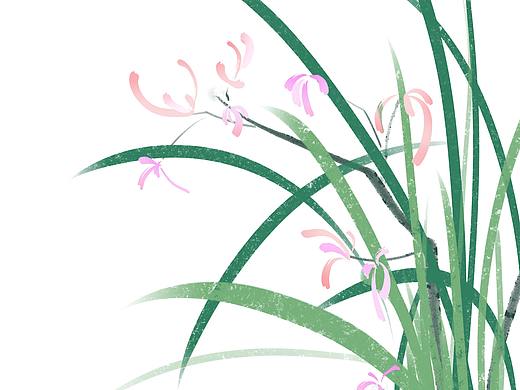 写意 兰花