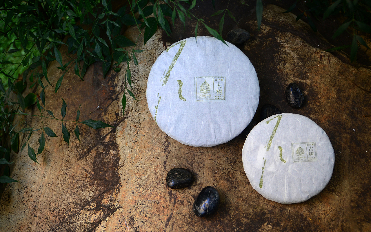 人在草木间（图ZMjk2MjE1OTY=） - 产品摄影 - 站酷设计师何伟杯子原创素材 - 站酷ZCOOL