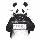 一只很小的柚子的头像