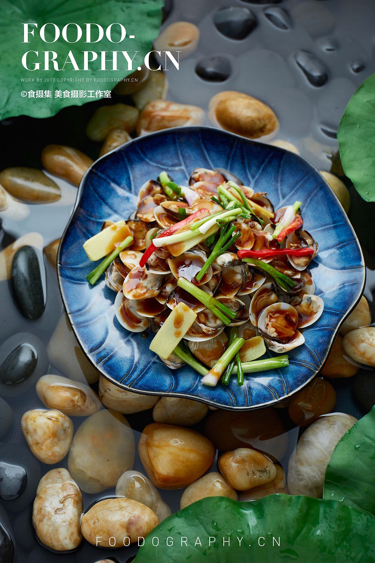 三秋桂子 十里荷花（图ZOTY4MTk4NjA=） - 产品摄影 - 站酷设计师Foodography原创素材 - 站酷ZCOOL
