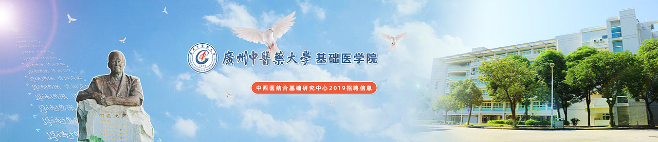 网站横幅（图ZMTU5NzI0NTc2） - 运营设计 - 站酷设计师iWALEE原创素材 - 站酷ZCOOL
